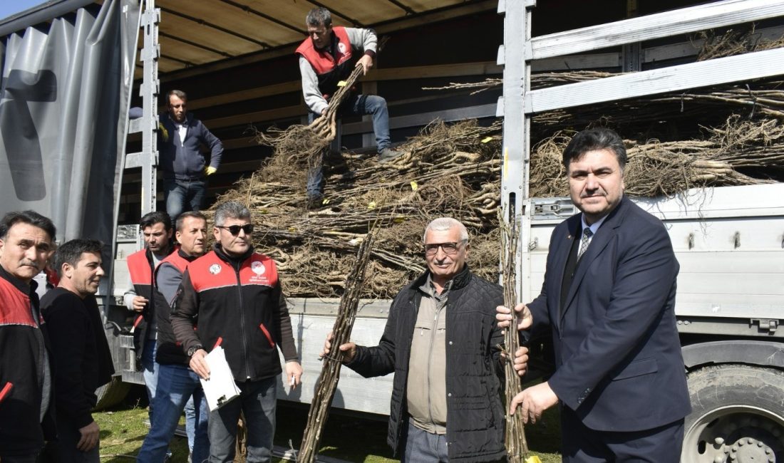Havran’da üreticilerin yüzü güldü Havran’da üreticilere destek olmak amacıyla hazırlanan proje kapsamında 5 bin