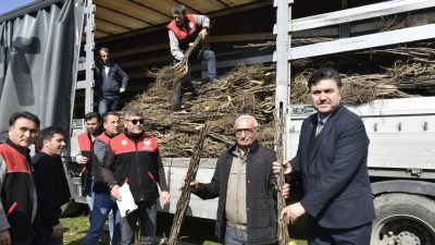 Havran’da üreticilere destek olmak amacıyla hazırlanan proje kapsamında 5 bin