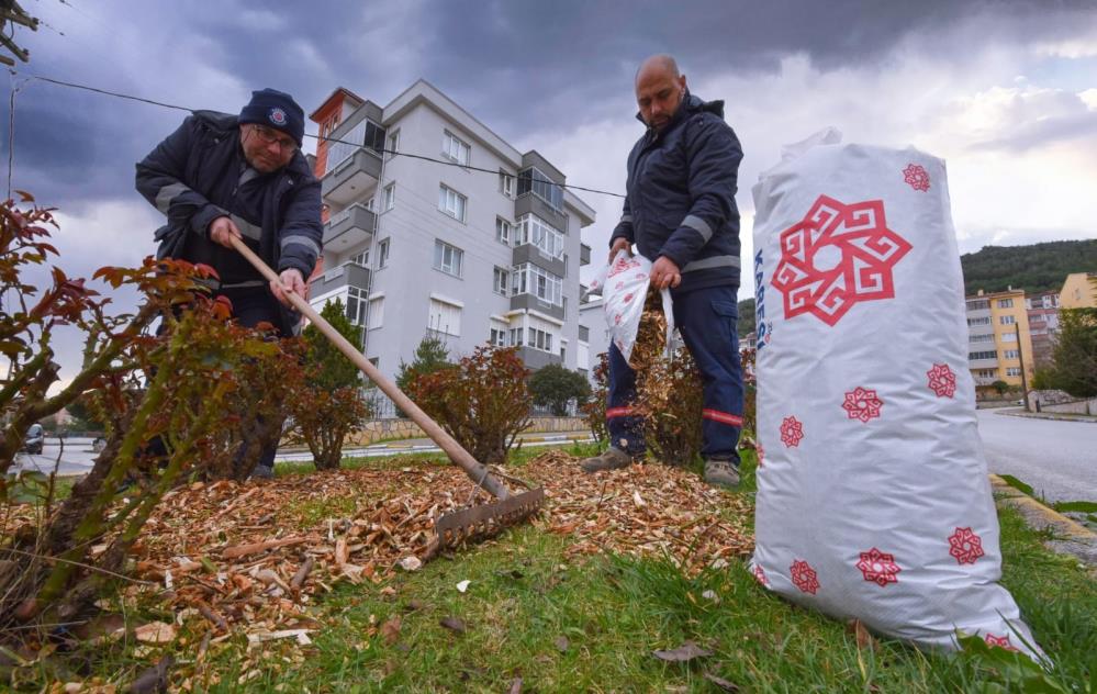 Karesi’de budanan dallar gübre oluyor Karesi Belediyesi, yeşil alanlardan ve vatandaşların budama çalışmalarından toplanan ağaç