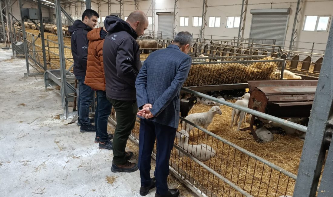 Kaymakam Atasoy’dan Bandırma Merinos’a ziyaret Erdek Kaymakamı Atakan Atasoy, Bandırma Koyunculuk ve Araştırma Enstitüsü’nü ziyaret