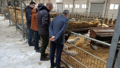 Erdek Kaymakamı Atakan Atasoy, Bandırma Koyunculuk ve Araştırma Enstitüsü’nü ziyaret