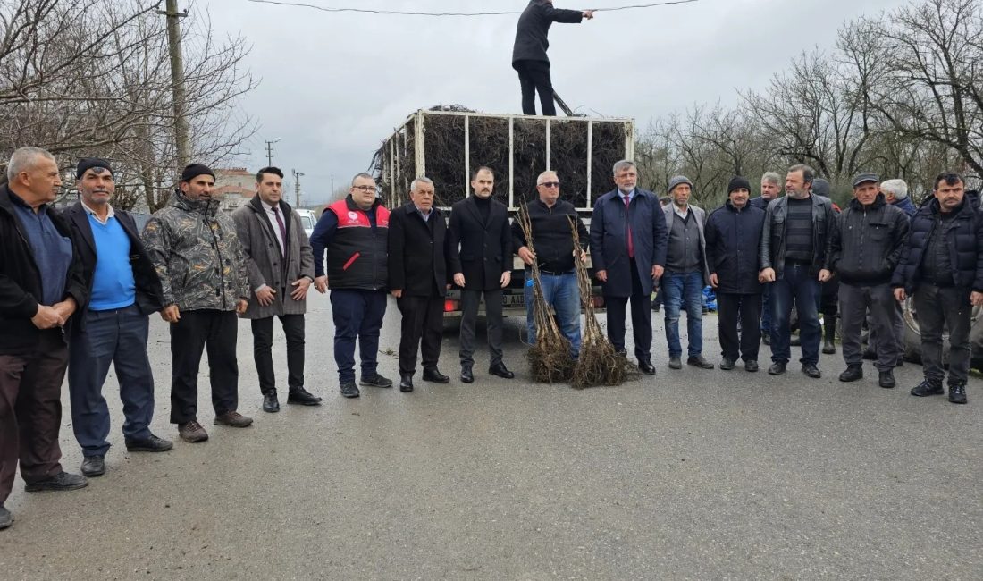 Kepsut’ta yerli üreticiye destek Kepsut’ta üreticilerin desteklenmesi amacıyla başlatılan proje kapsamında 40 üreticiye 6