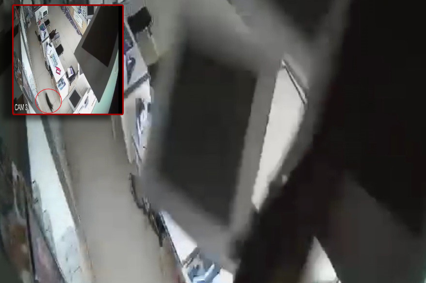 Bursa’da çöken gözlükçü tavanından aşağı kedi düştü. Düşen kedinin korku