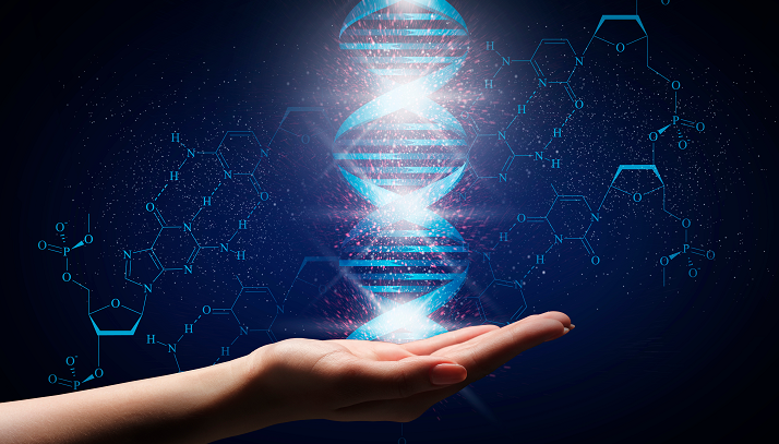Genetik Hastalıkları Değerlendirme Uzmanı Prof. Dr. İlhan Sezgin, kromozom bozukluğunu