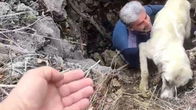 Konya’nın Ahırlı ilçesinde düştüğü kuyuda bitkin halde bulunan köpek, vatandaşlar