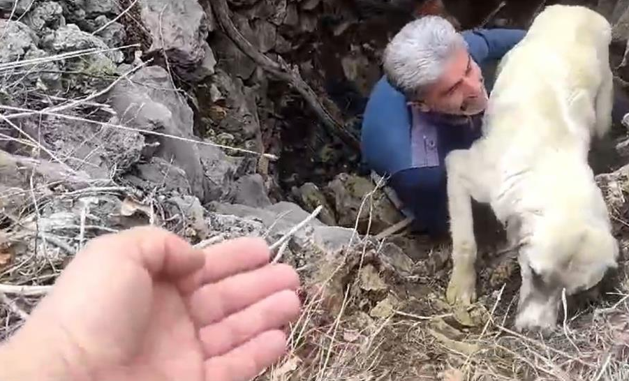 Konya’nın Ahırlı ilçesinde düştüğü kuyuda bitkin halde bulunan köpek, vatandaşlar