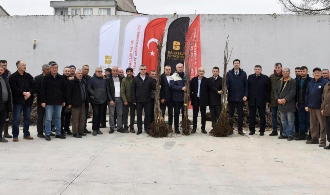 Manyas’ta üreticilere fidan desteği Manyas’ta üreticilere destek olmak amacıyla hazırlanan proje kapsamında 5 bin