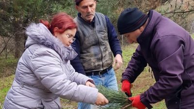 Balıkesir OGM, orman ağaçlarının genetik formasyonunun geleceğe aktarılması amacıyla “Karaçam