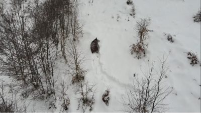 Ordu ve civar illerde bu yıl şubat ayı gelmesine rağmen