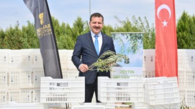 Balıkesir Büyükşehir Belediyesi, zeytin üreticilerine olan desteğini sürdürüyor. Büyükşehir, Edremit’te