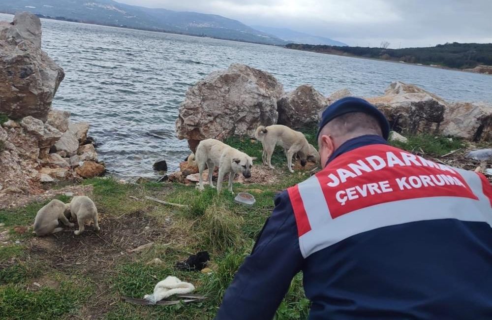 Balıkesir’de jandarma, zor kış şartlarında kırsalda besin ihtiyacını gidermekte zorluk