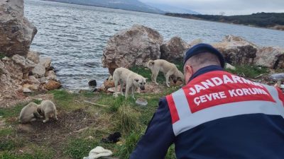 Balıkesir’de jandarma, zor kış şartlarında kırsalda besin ihtiyacını gidermekte zorluk