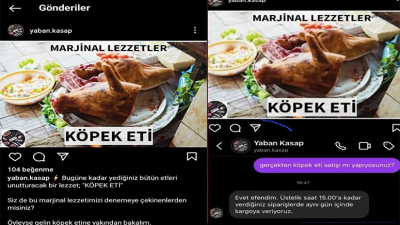 Sosyal medyada bir hesabın Bursa’dan köpek eti satışı yapıldığını iddia