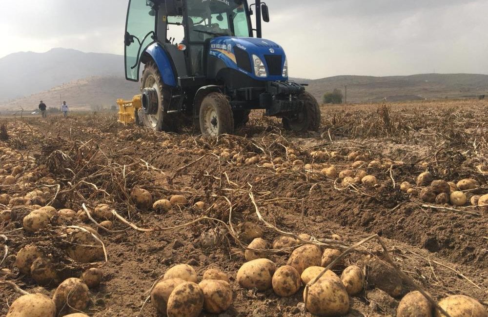 “Patates fiyatlarında artış yok” Tarımsal üretimde zam şampiyonunun patates olarak gösterilmesinin ardından Niğde Ziraat