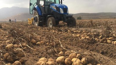 Tarımsal üretimde zam şampiyonunun patates olarak gösterilmesinin ardından Niğde Ziraat