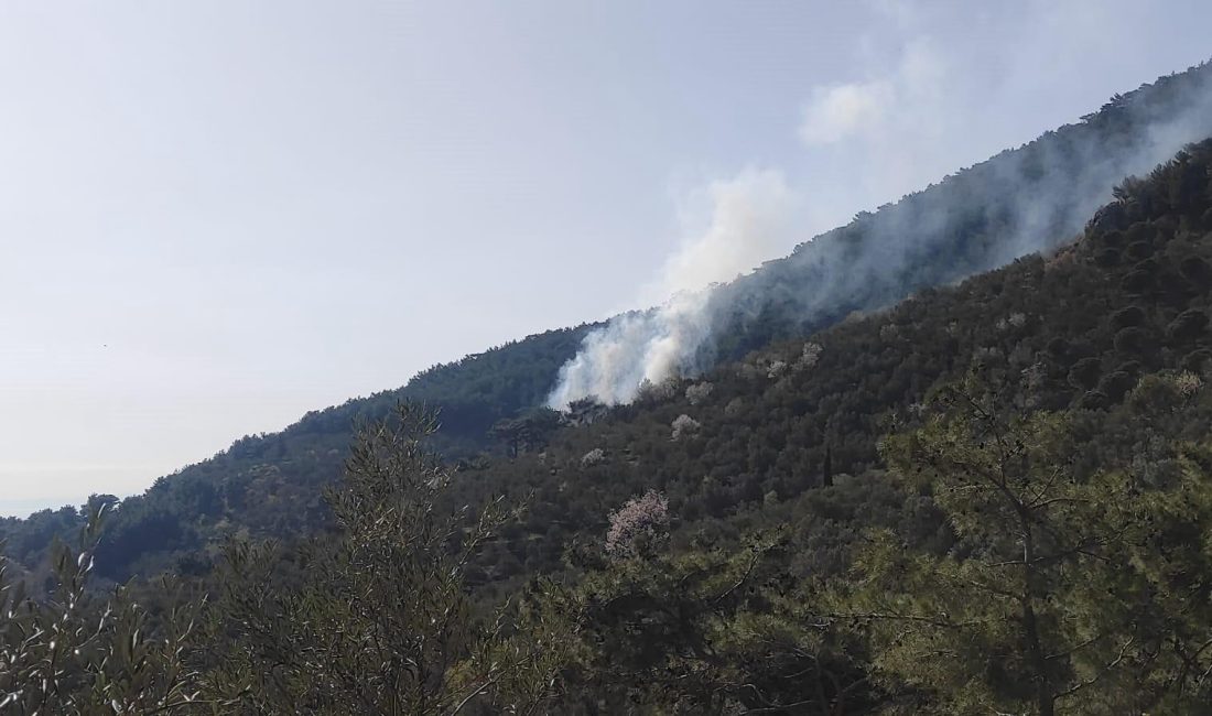 Kazdağları’nda orman yangını Edremit’te Kazdağları eteklerinde zeytin bahçesinde çıkan yangın ormanlık alana sıçradı.