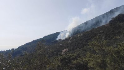 Edremit’te Kazdağları eteklerinde zeytin bahçesinde çıkan yangın ormanlık alana sıçradı.