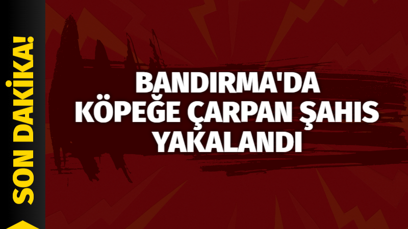 Bandırma’da köpeği ezerek geçen ticari araç sürücüsü Bandırma İlçe Emniyet