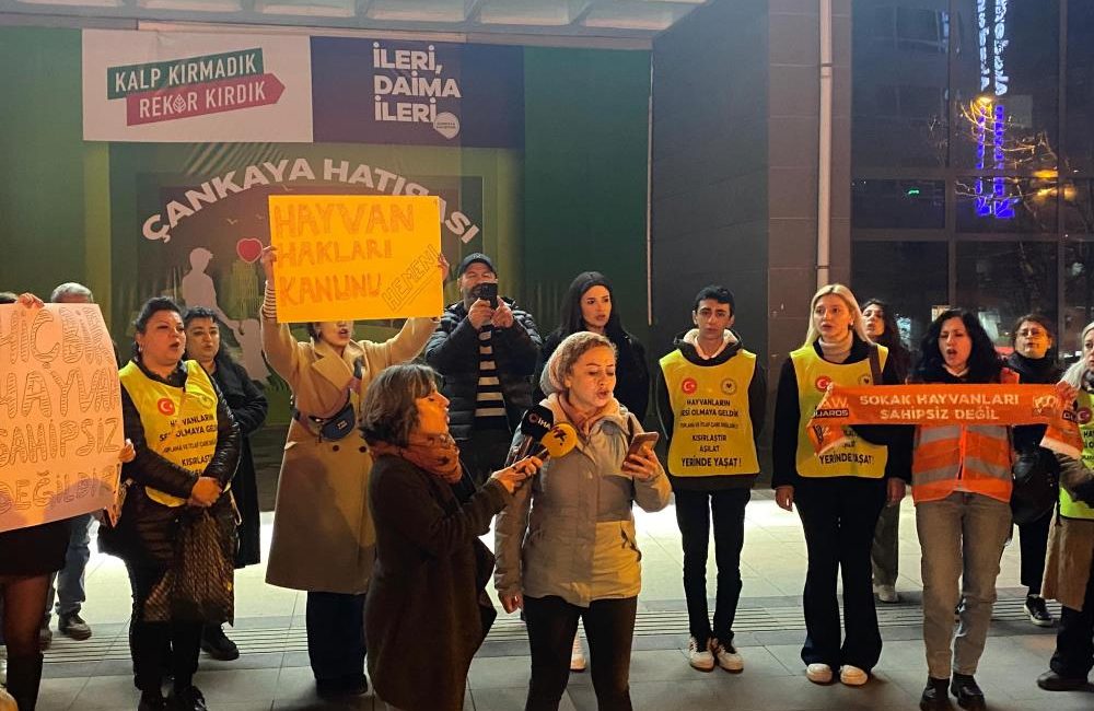  ‘Eros’ isimli kediyle ilgili davada sanık hakkında çıkan serbest bırakılma