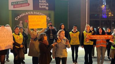  ‘Eros’ isimli kediyle ilgili davada sanık hakkında çıkan serbest bırakılma