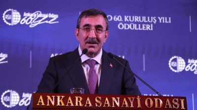 Cumhurbaşkanı Yardımcısı Cevdet Yılmaz, “Mayıs ayına kadar yıllık enflasyonda ciddi