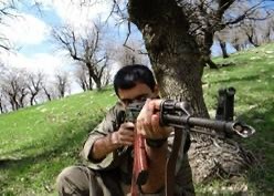 Milli İstihbarat Teşkilatı, PKK İran Gençlik Koordinasyonu sözde sorumlusu Tolhildan