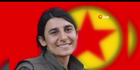  Millî İstihbarat Teşkilatı (MİT), terör örgütü PKK/KCK’nın sözde gençlik yapılanması