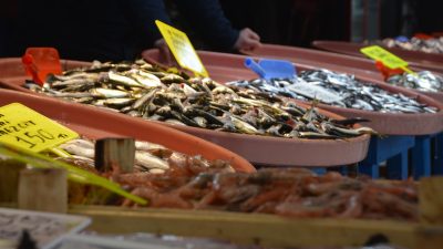 Geçtiğimiz hafta 200 lirayı bulan hamsi fiyatı bu hafta 150