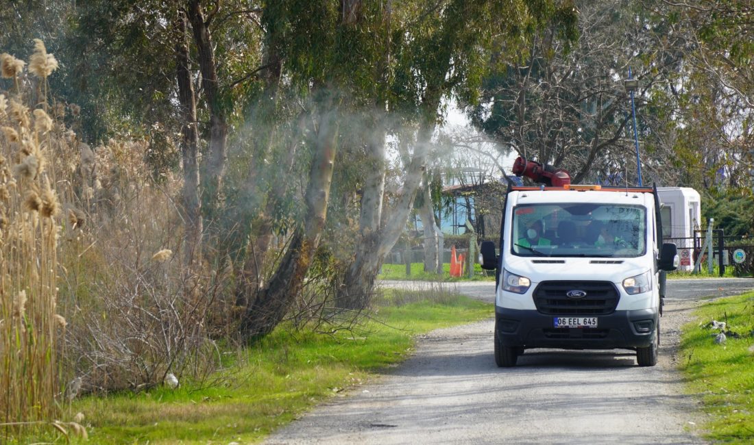 Balıkesir Büyükşehir Belediyesi, haşereyle mücadele işlemlerine 12 ay boyunca devam