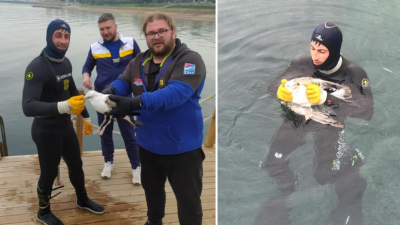 Gömeç’te, Dalış Köyünde görevli dalış lideri Burak Gürcan, oltaya takılan