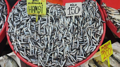 Bandırma’da, Su Ürünleri Hali’ndeki balık pazarlarında hamsi fiyatlarında düşüş yaşandı.Hamsinin