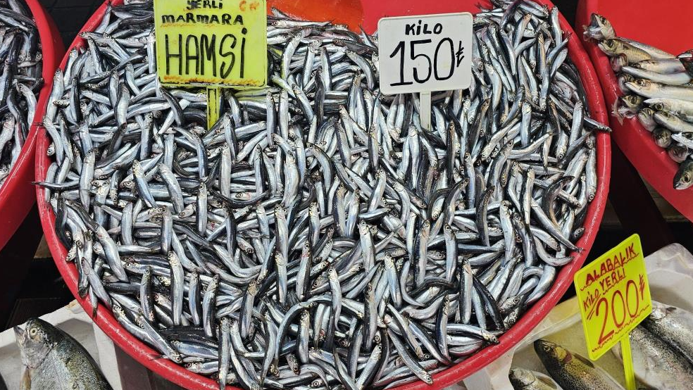 Bandırma’da, Su Ürünleri Hali’ndeki balık pazarlarında hamsi fiyatlarında düşüş yaşandı.Hamsinin