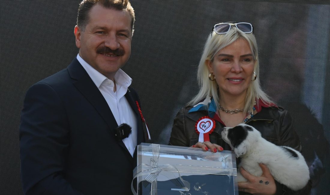 Başkan Yılmaz’dan hayvanseverlere müjde Edremit’te Mutlu Patiler Buluşmasına katılan Balıkesir Büyükşehir Belediye Başkanı Yücel