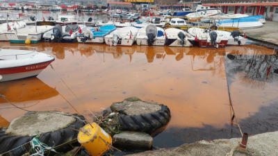 Marmara Denizi’nin Tekirdağ kıyıları plankton çoğalması sonucu son bir haftadır