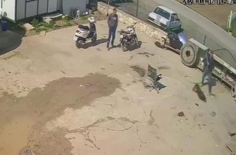 İzmir’in Urla ilçesinde, eline aldığı hortum, sandalye ve kürekle acımasızca