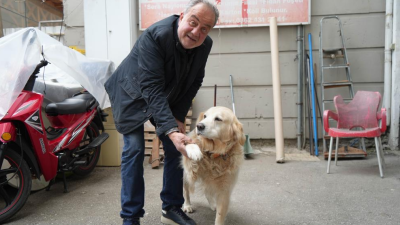 Samsun’da bir doktor, kendisine havlayan golden cinsi köpekten korkup düşerek
