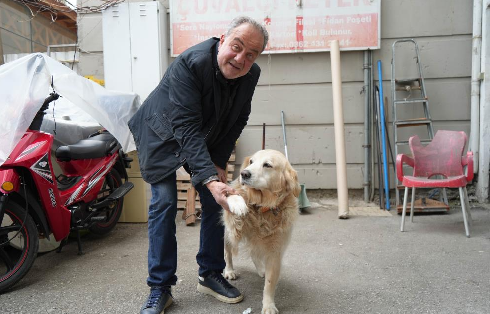 Samsun’da bir doktor, kendisine havlayan golden cinsi köpekten korkup düşerek