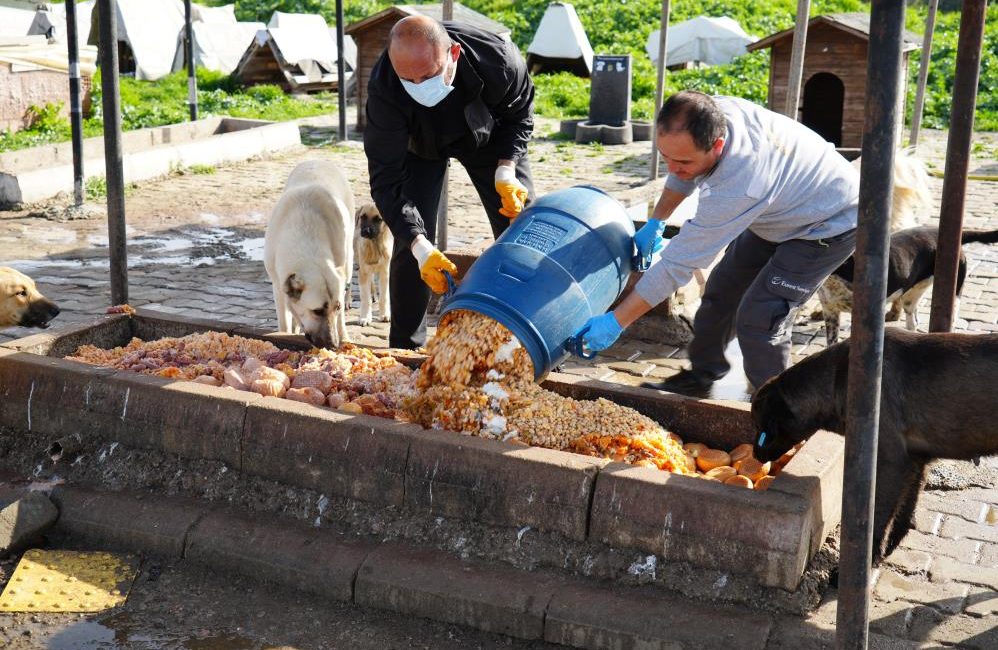 Edremit Belediyesi sokak köpekleri besleme noktasında mamaların çalındığını fark eden