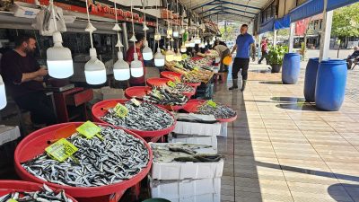 15 Nisan itibariyle başlayan av yasakları ile birlikte Bandırma’da büyük