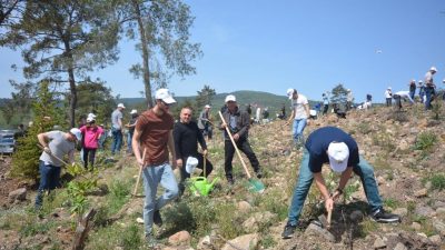 Balıkesir Orman Bölge Müdürlüğü, Balıkesir’in İvrindi ilçesinde tahsis edilen 181