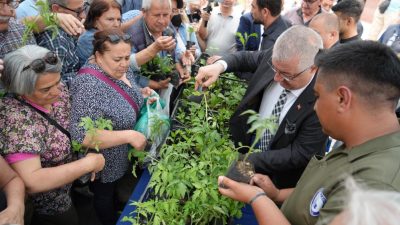Edremit Belediyesi, tarımsal hizmetler dahilinde yerel tarımın teşvik edilmesi ve