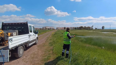 Vatandaşların sineksiz bir yaz geçirmesini sağlamak amacıyla haşereyle mücadele işlemlerini