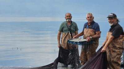 İznik Gölü’nde gümüş balığı sezonu hızlandı. Yunanistan, Ukrayna ve Amerika’ya