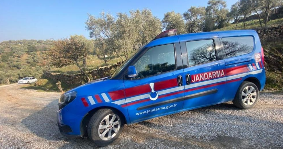 Köpeklerine domuz yavrusunu öldürterek kayda alan şahsa para cezası Aydın’ın Koçarlı ilçesinde hayvanlarını otlatırken, köpeklerine domuz yavrusunu öldürterek kayda