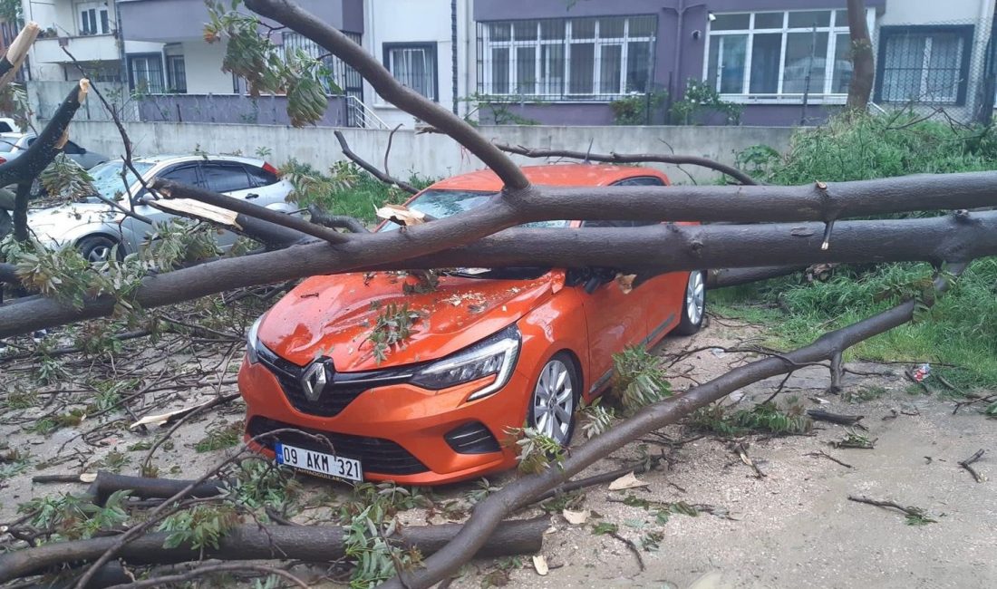 Bandırma’da, çürüyen ağaç otomobilin üzerine devrildi Bandırma’da meydana gelen olayda kökü çürüyen bir ağaç, esen sert