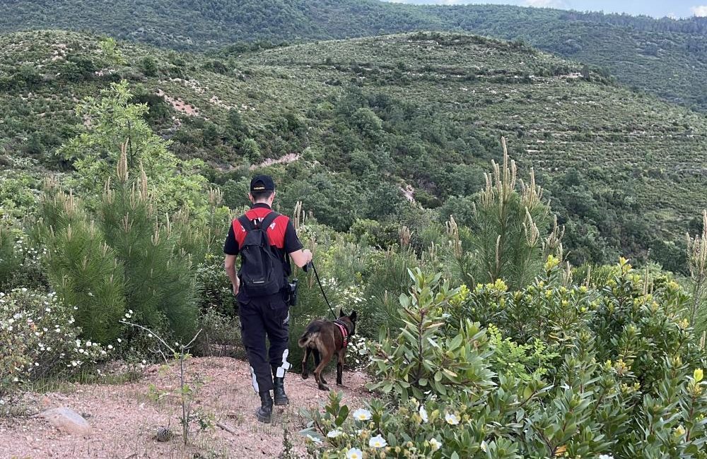 Kayıp Ekonomist Korhan Berzeg’e ait yeni ipuçları bulmak amacıyla yapılan