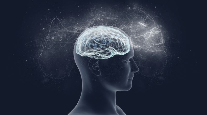 Türkiye’nin Zeka Testleri Merkezi tarafından yapılan çalışmaya göre belirlenen en
