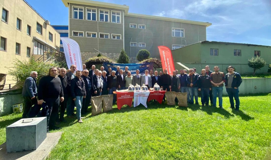 Balıkesir İl Tarım ve Orman Müdürlüğü, Bandırma’nın üreticilerine ayçiçeği tohumu