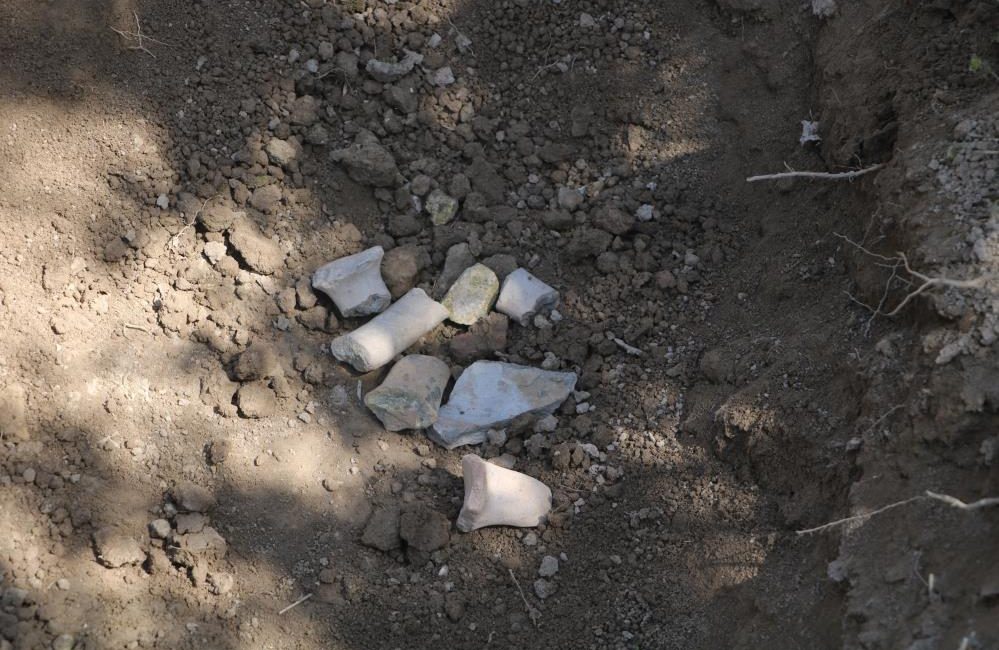 Bahçesini çapalayan çiftçinin pulluğuna takılan küpten Bizans dönemi sikkeleri çıktı Hatay’da bir çiftçi, bahçesini çapalarken traktörünün pulluğuna takılan küpten çıkan