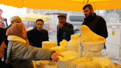Giresun yaylalarında üretilerek 7-8 ay bekletilen koyun, keçi ve sığır